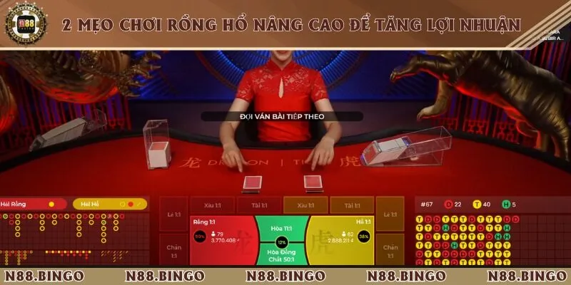 Cách Đặt Rồng Hổ Chuẩn Xác Tại N88 Và Mẹo Chơi Cơ Bản Áp dụng 2 cách đặt rồng hổ để có tỷ lệ thắng lớn